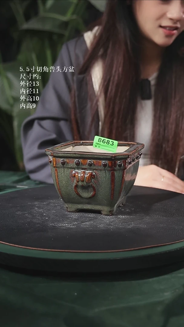 【石湾花盆】5.5寸切角兽头方盆683 园艺级