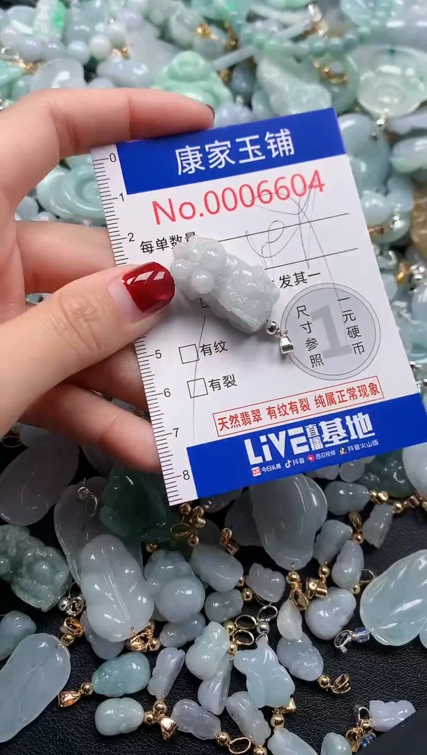 颈饰未镶嵌翡翠6604