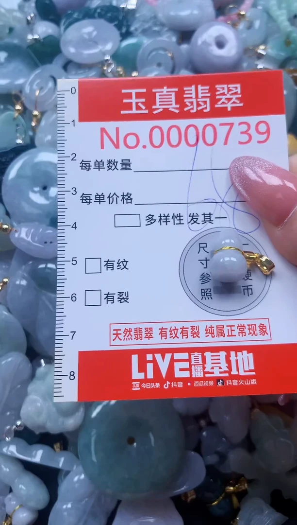 翡翠未镶嵌吊坠(不含链)0739