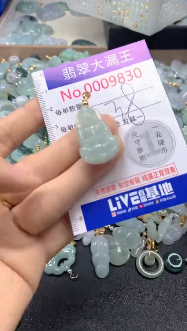 翡翠未镶嵌吊坠(不含链)9830