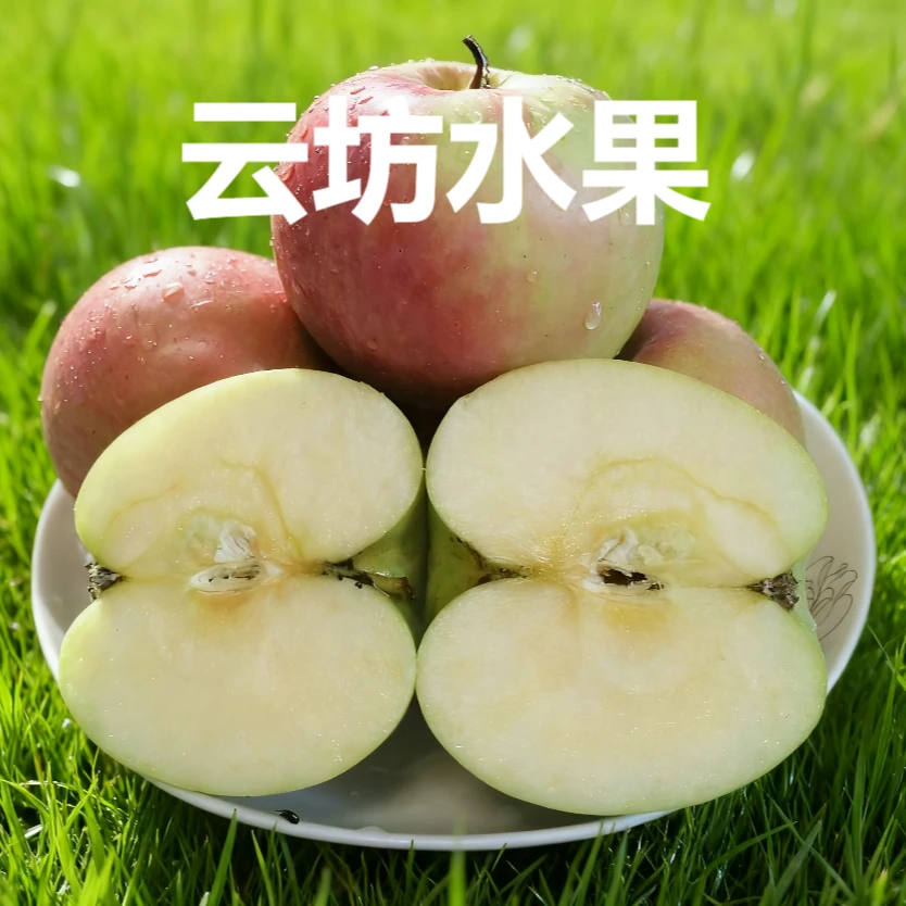 2025陕西膜袋红富士苹果中小果含箱5斤9斤酸甜可口现采现发时令