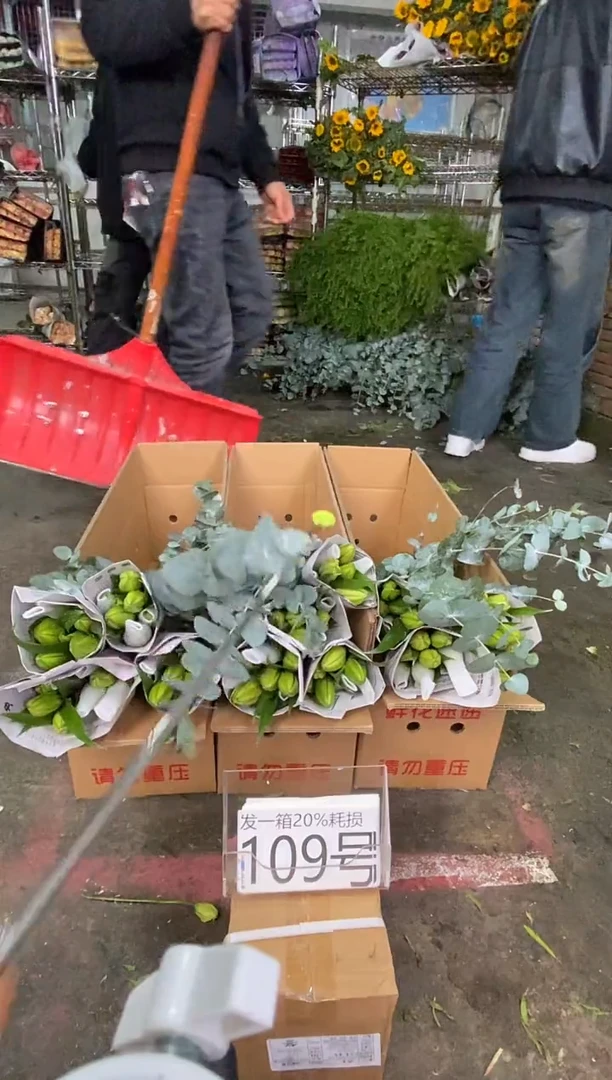 109号♥含20%耗损发一箱