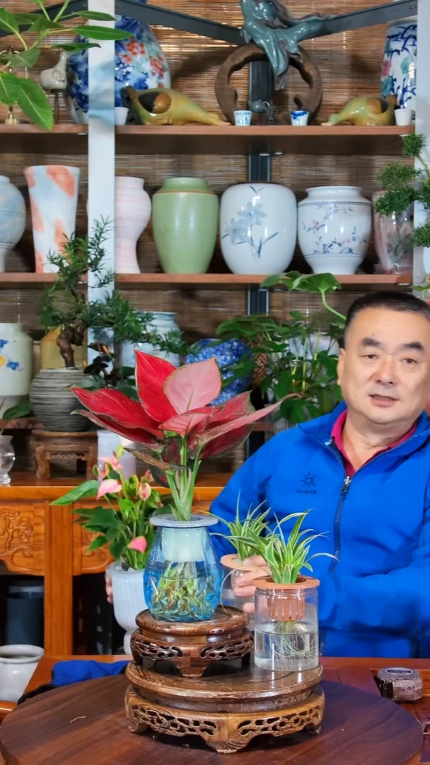 无花朵欧*武水之韵水培粉掌+吊兰