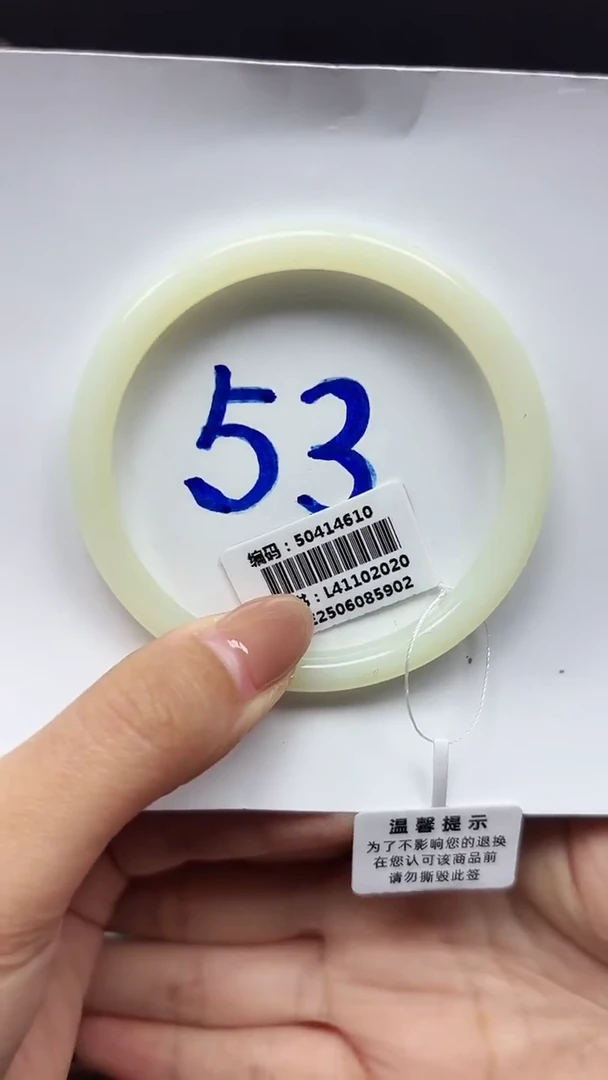 未镶嵌手镯和田玉4610