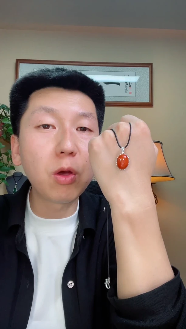 南红玛瑙未镶嵌颈饰188