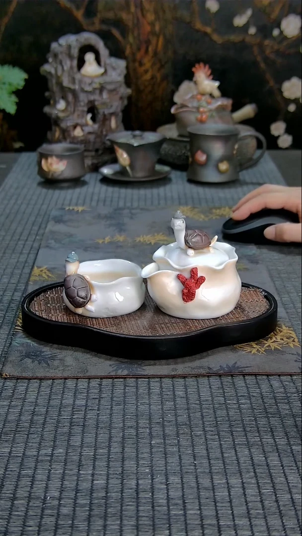 黄老师可爱龟套装