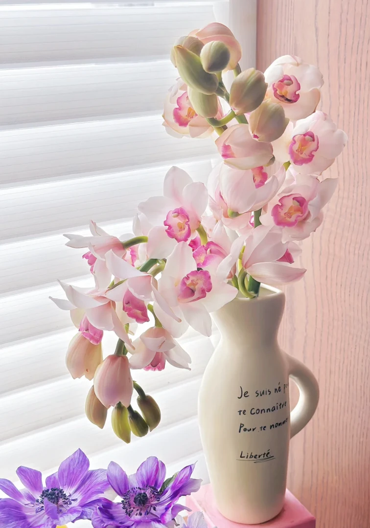 年霄花大花惠兰水诱惑云南基地现采直发