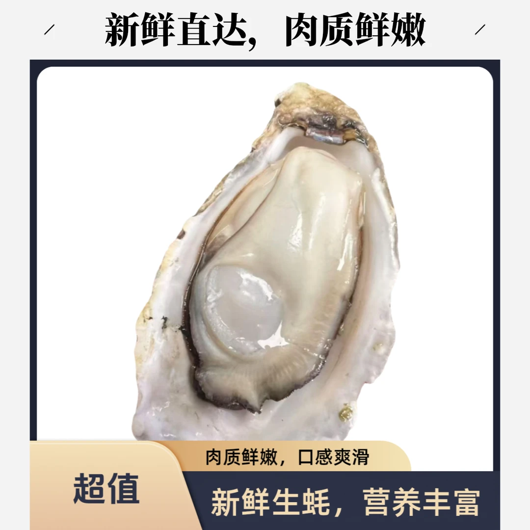 乳山生蚝。单只1到2两。5斤箱