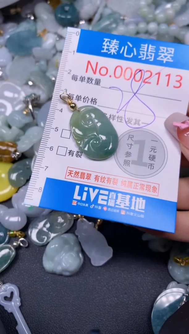 【闪购商品】翡翠颈饰未镶嵌含绳0002113