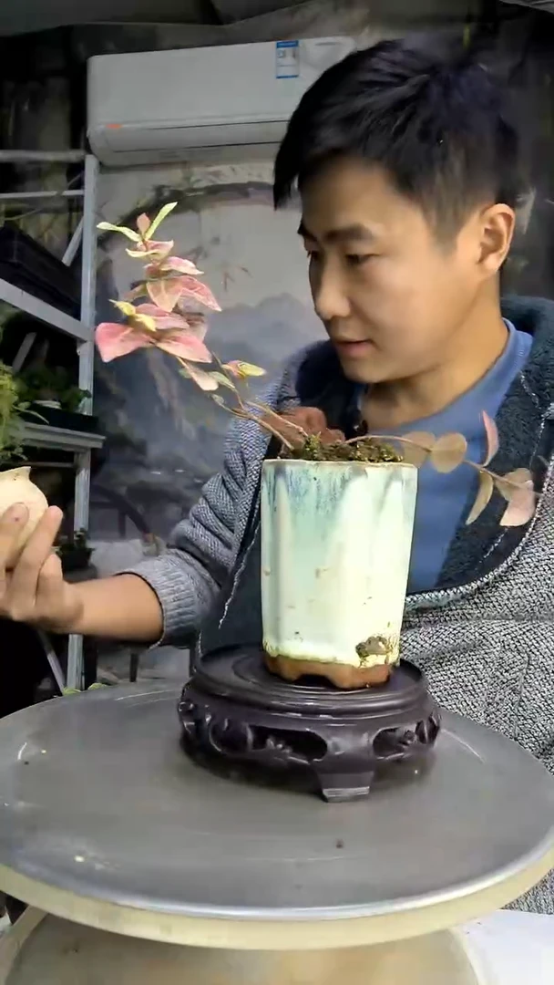 夜***夜中青园艺一物一拍111