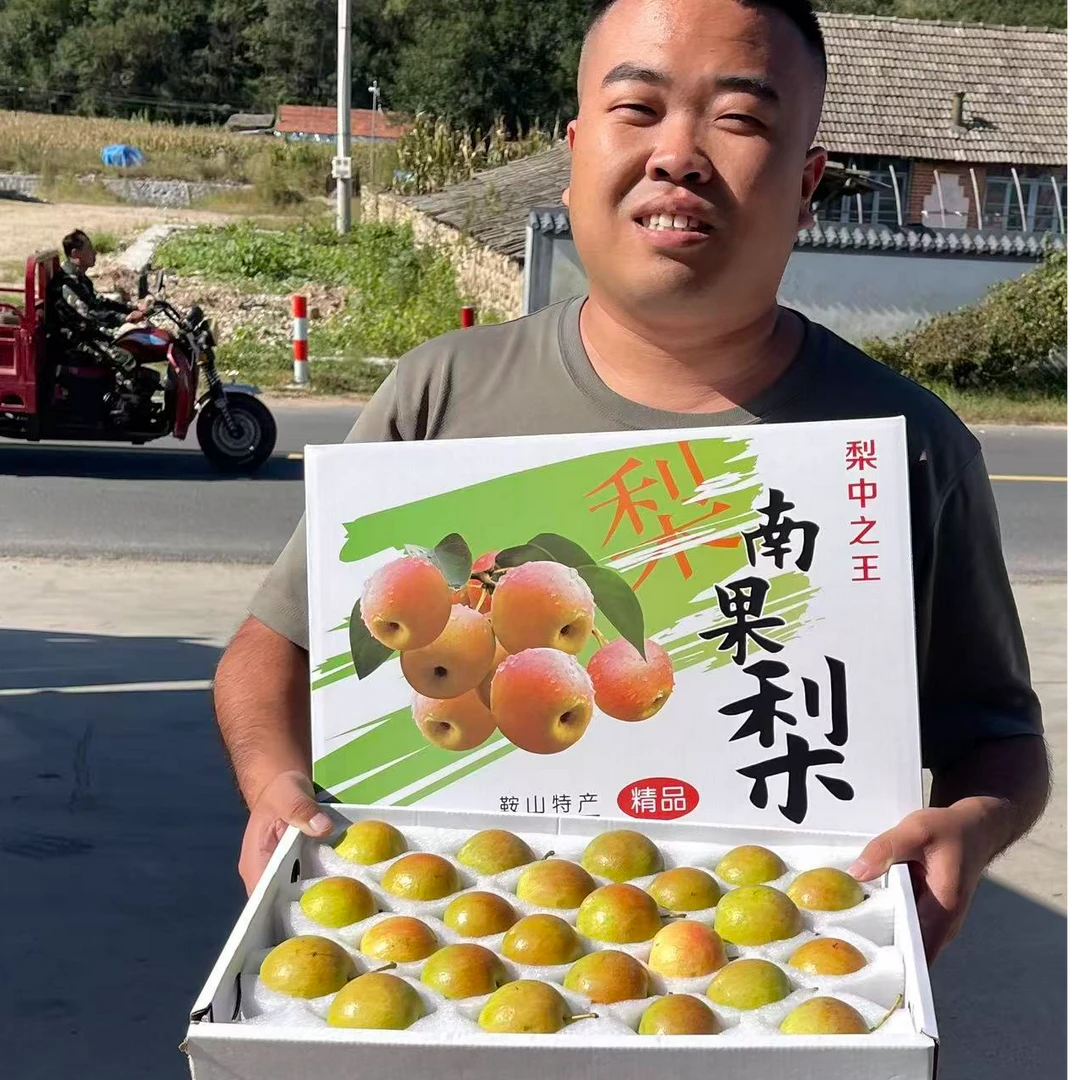 【礼盒款】阳面南果梨京东包邮鞍山英不落酒香软糯细腻多汁