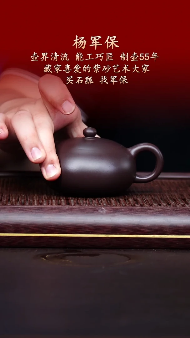陶藏紫砂甄选-紫砂壶48