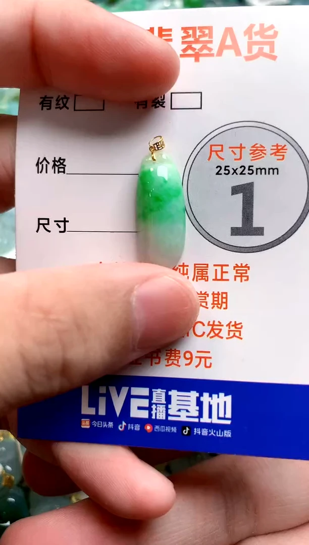 颈饰18K金镶嵌翡翠0581349114