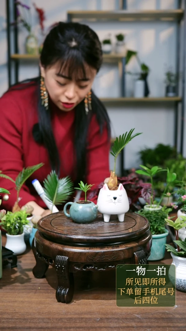 【闪购商品】86--9189棕竹壶+铁树猫咪