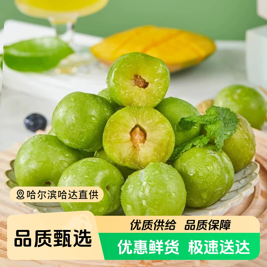 《小军严选》青脆李 四川脱骨李子清脆 顺丰包邮四川省
