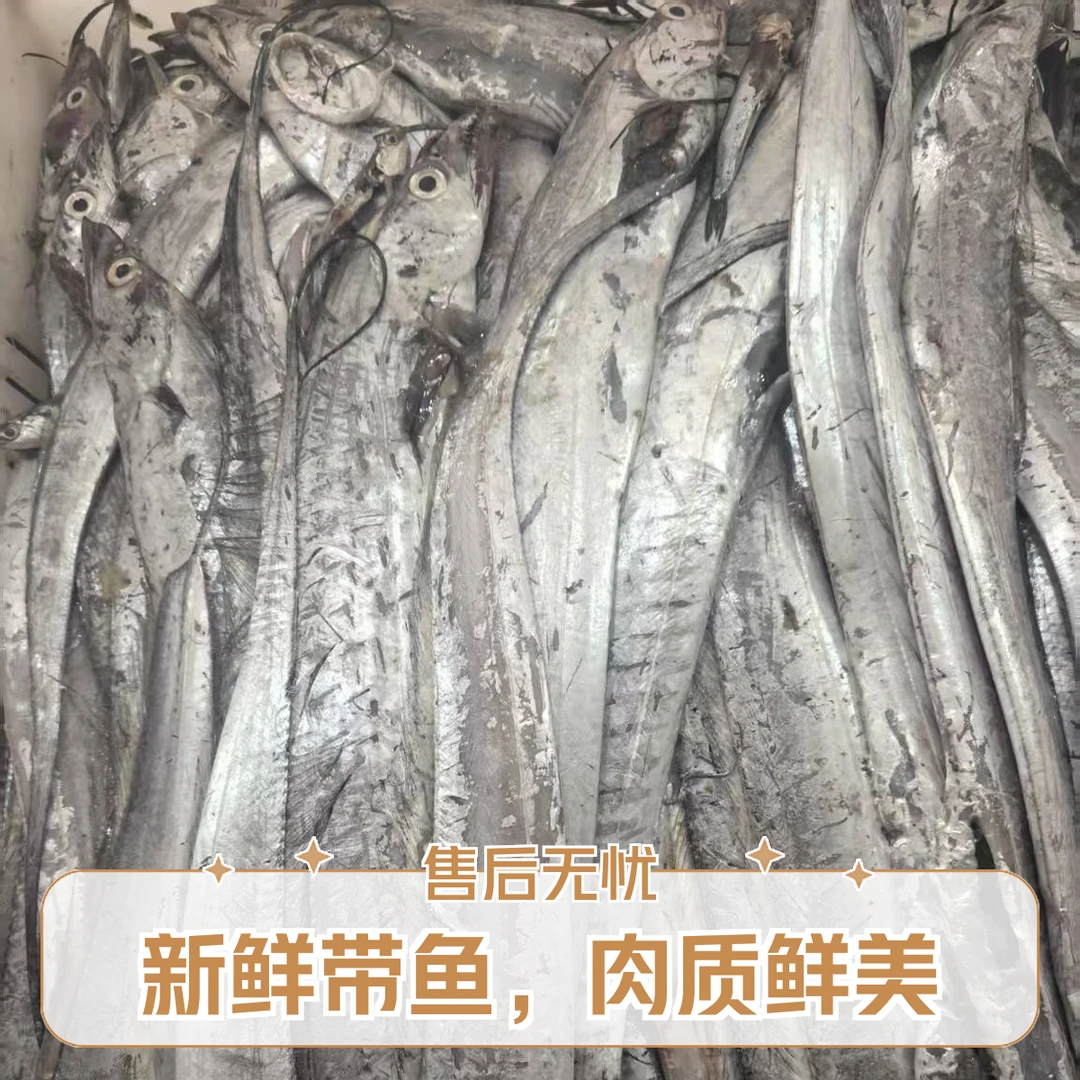 福利小眼鲜刀鱼45元5斤