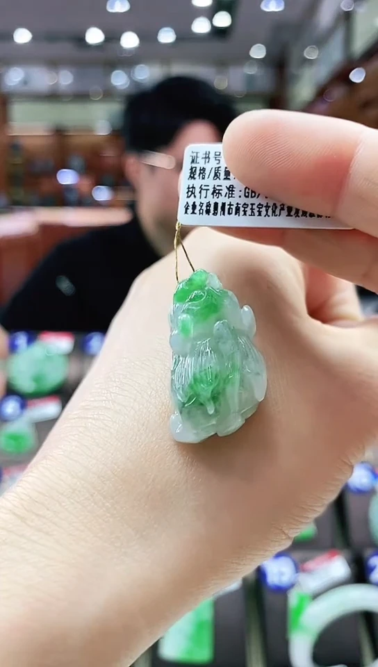 颈饰未镶嵌翡翠貔貅