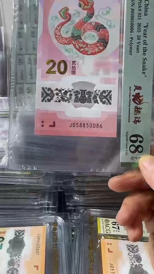 塑料058850086蛇钞单张