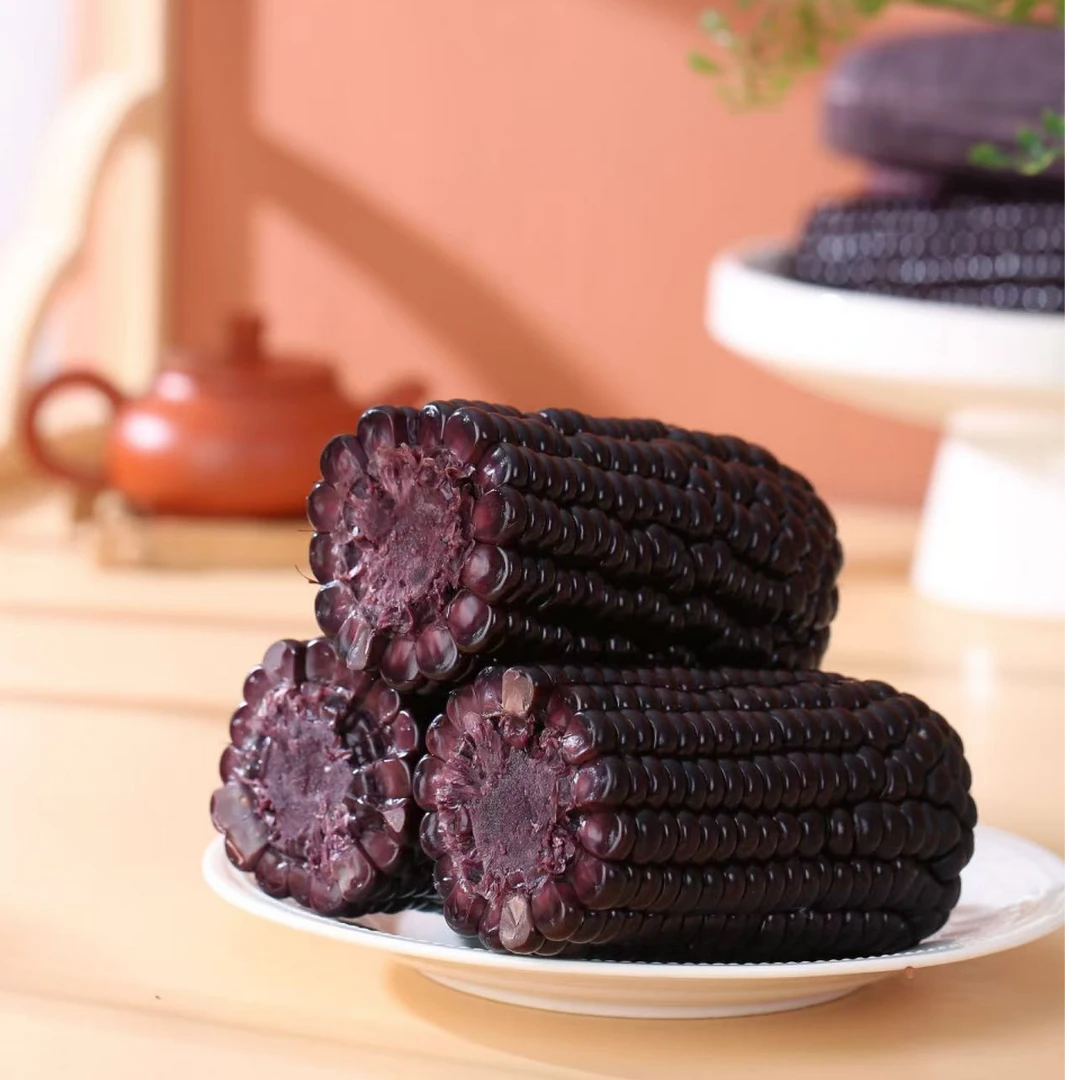山西忻州黑糯玉米农产品低脂代餐开袋加热真空包装10根装黑玉米
