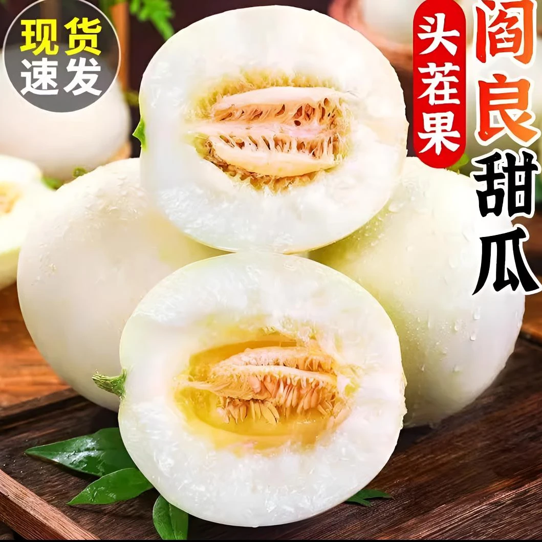 陕西阎良头茬甜瓜清甜纯甜无酸新鲜现采产地直发老少皆宜且包邮！