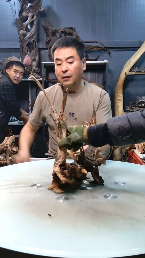 549清香阁清香阁清香阁