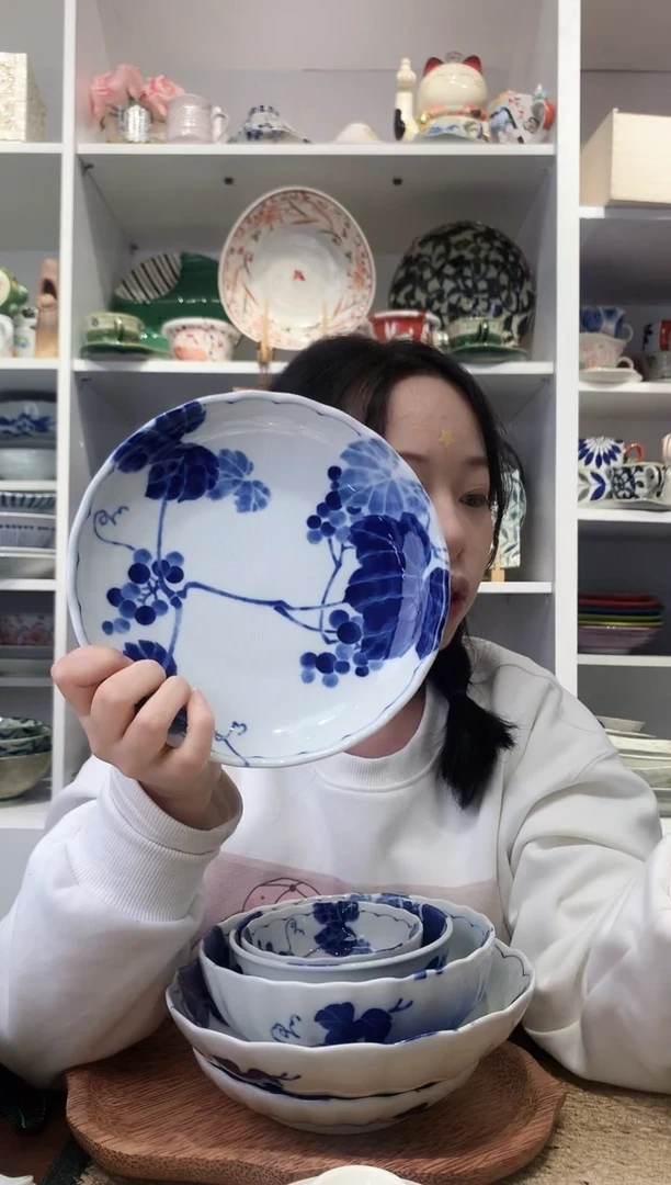 陶瓷美浓烧野葡萄中号盘19cm