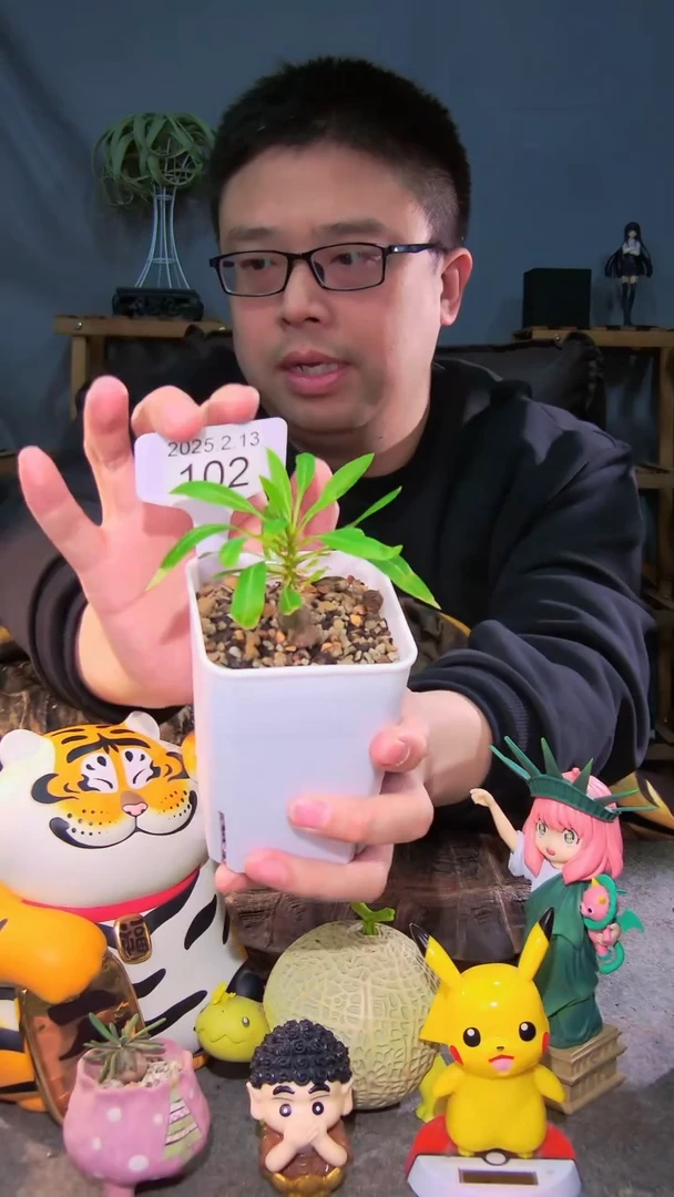 【闪购商品】紫福2.13.102