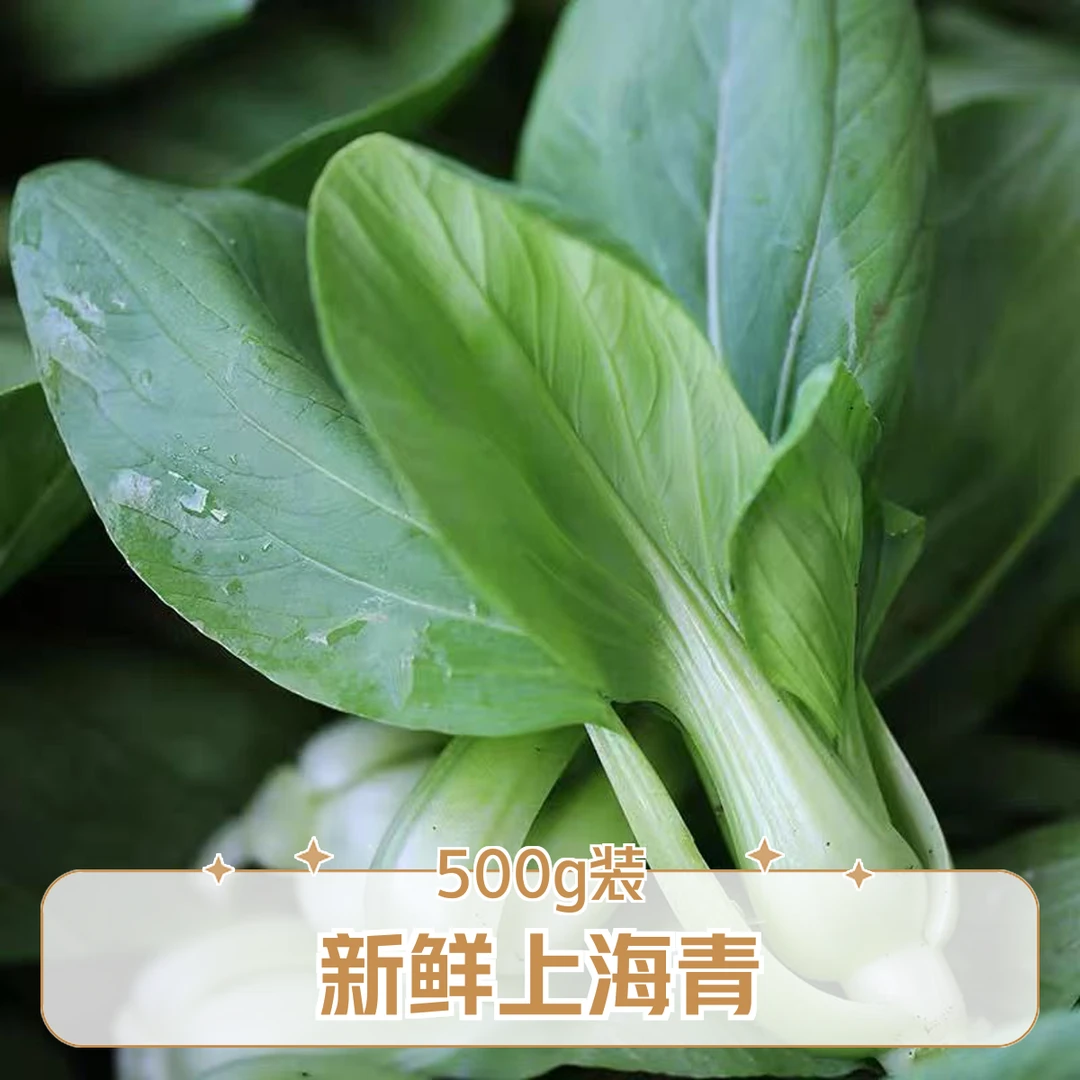 新鲜上海青 500g一袋