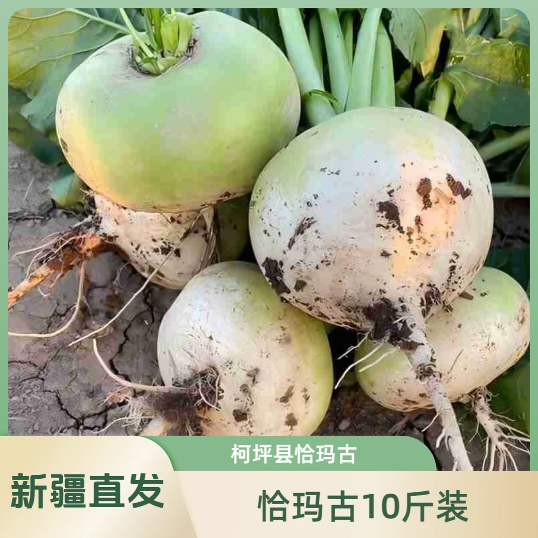 【新疆恰玛古】柯坪县新鲜恰玛古碱性食品调节酸碱10斤装新疆直发