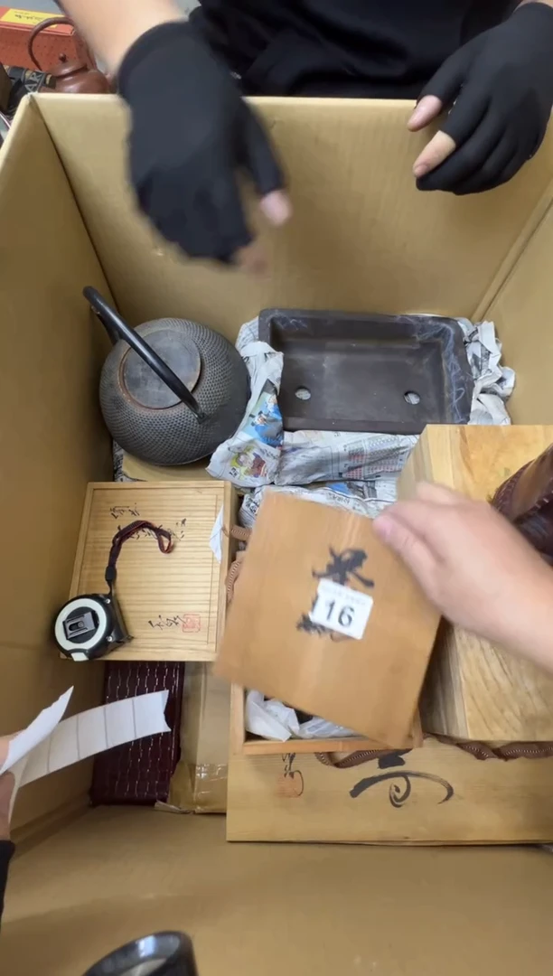 广*轩熊大熊精选舶来品二号116