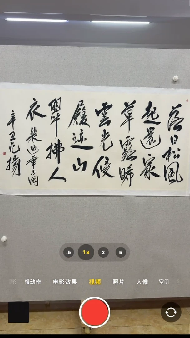 【闪购商品】书法-绘画-范y-八平尺书法