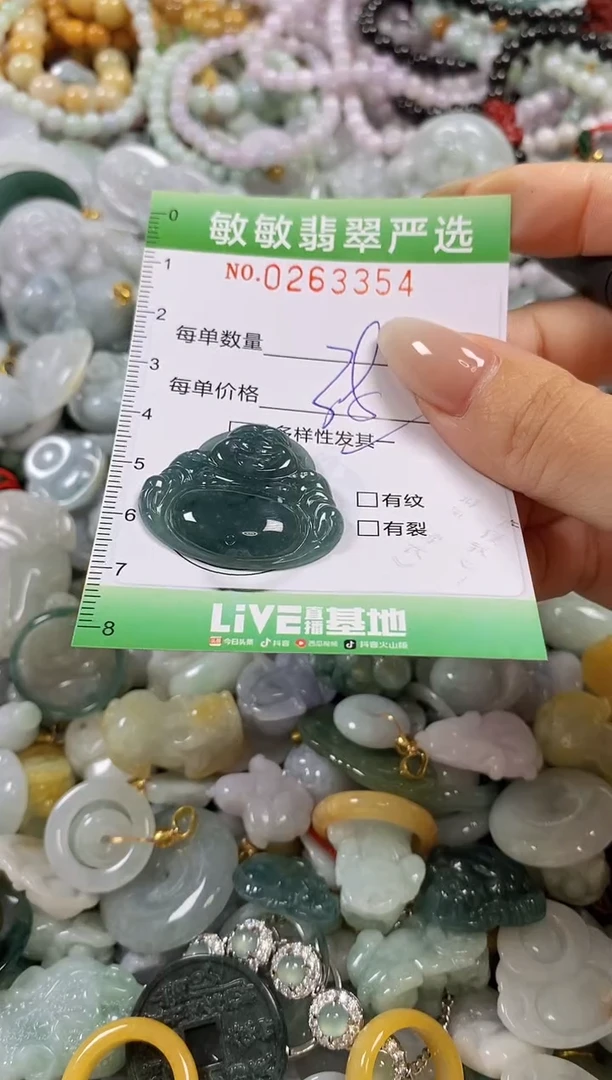 翡翠未镶嵌颈饰闪购0263354