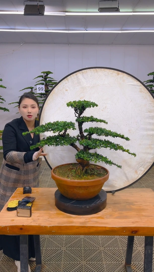 无花朵一物一拍一物一拍
