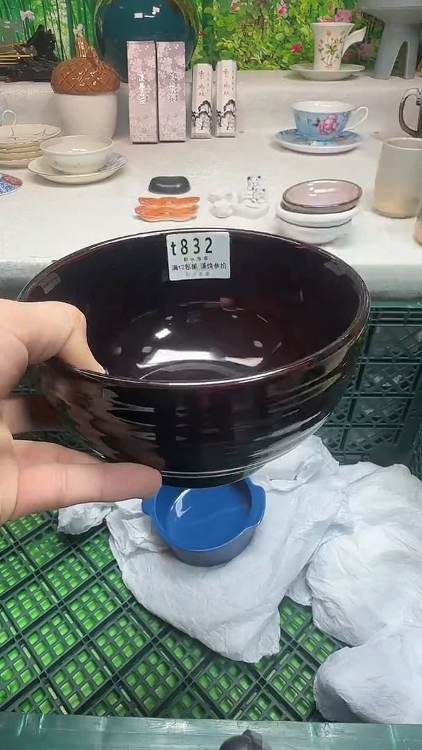 瓷片叮*猫832mmmmmmmmm