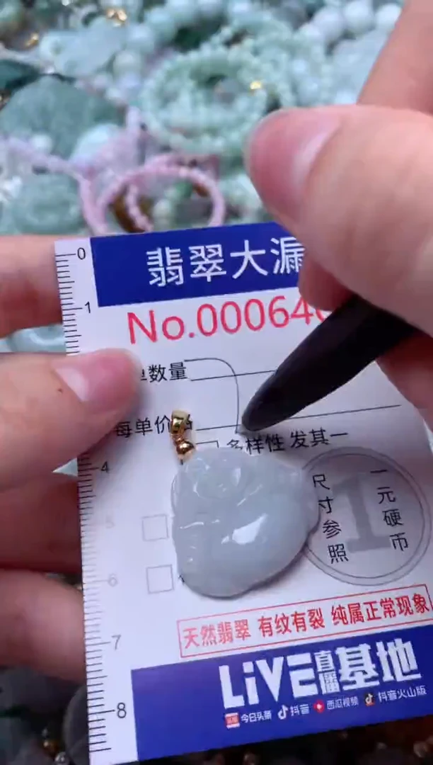 翡翠未镶嵌颈饰6401