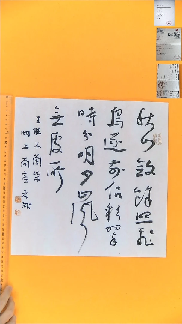 书法江孝龙书法斗方木兰柴33*33