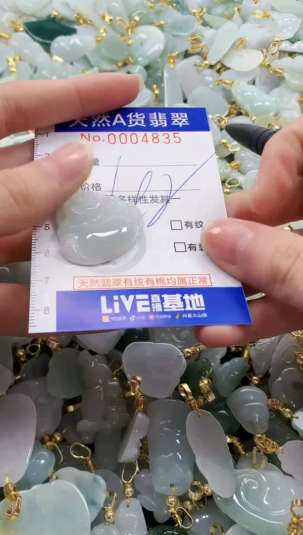 颈饰未镶嵌翡翠纯天然a货翡翠