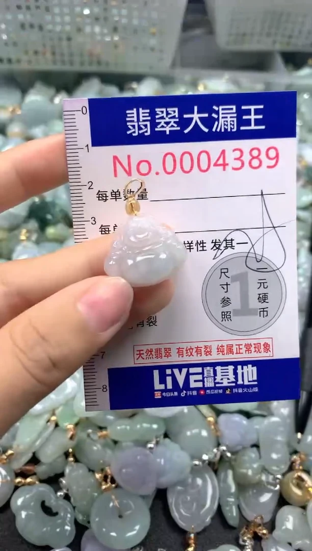 颈饰未镶嵌翡翠4389