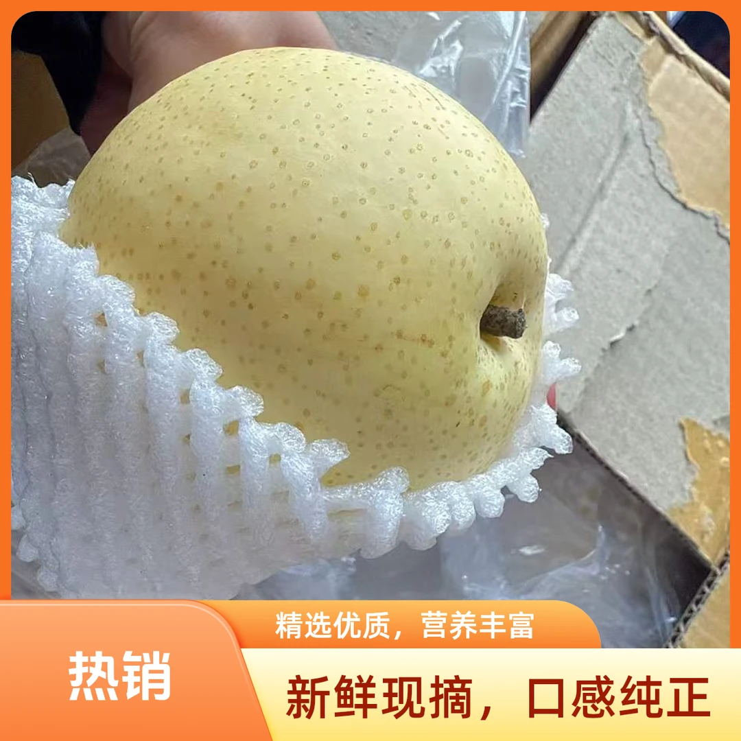 精品皇冠梨（3斤左右)