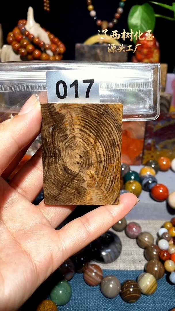 未镶嵌-硅化玉天然北票硅化玉吊坠