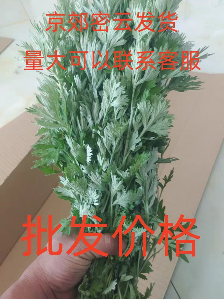 新鲜艾草 北京新鲜艾草批发包邮 新鲜艾叶 端午挂门口