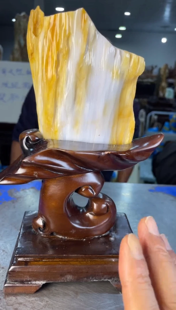 未镶嵌摆件硅化玉3