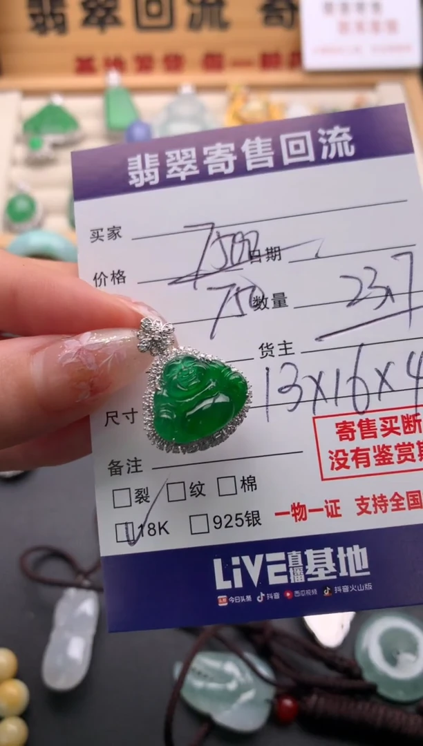 翡翠18K金镶嵌颈饰10135200