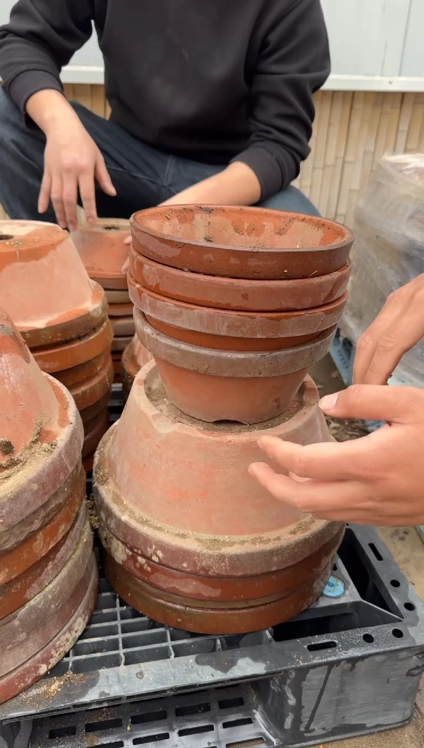 DD-38常滑烧4个7号