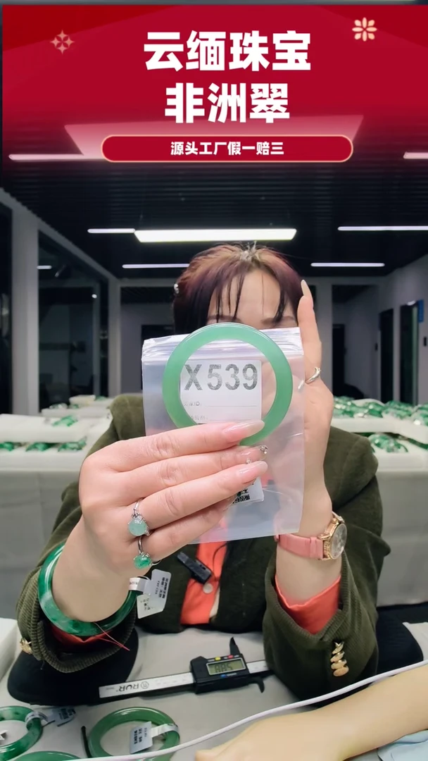 未镶嵌手镯石英质玉（非洲翠）59圈口X539