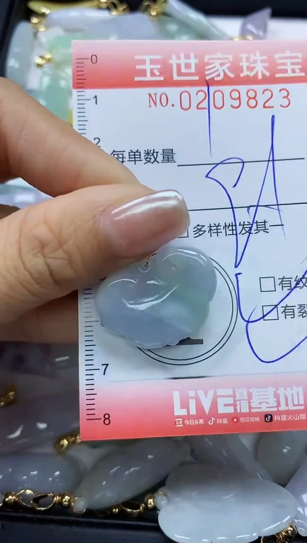 【闪购商品】翡翠颈饰未镶嵌闪购0209823