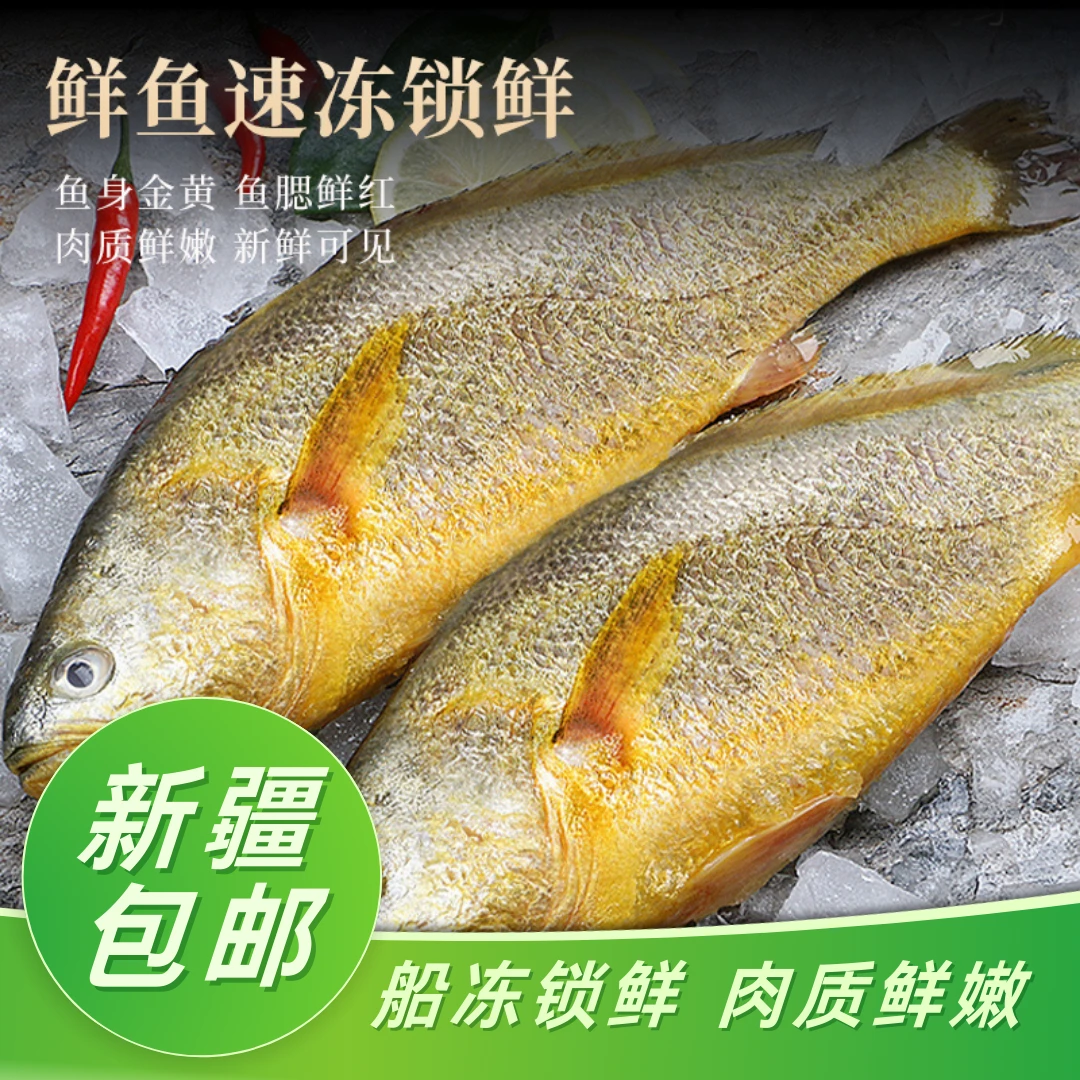 新疆包邮大黄花鱼新鲜冷冻速冻生鲜海鲜深海鱼黄鱼鲞免杀洗小黄鱼