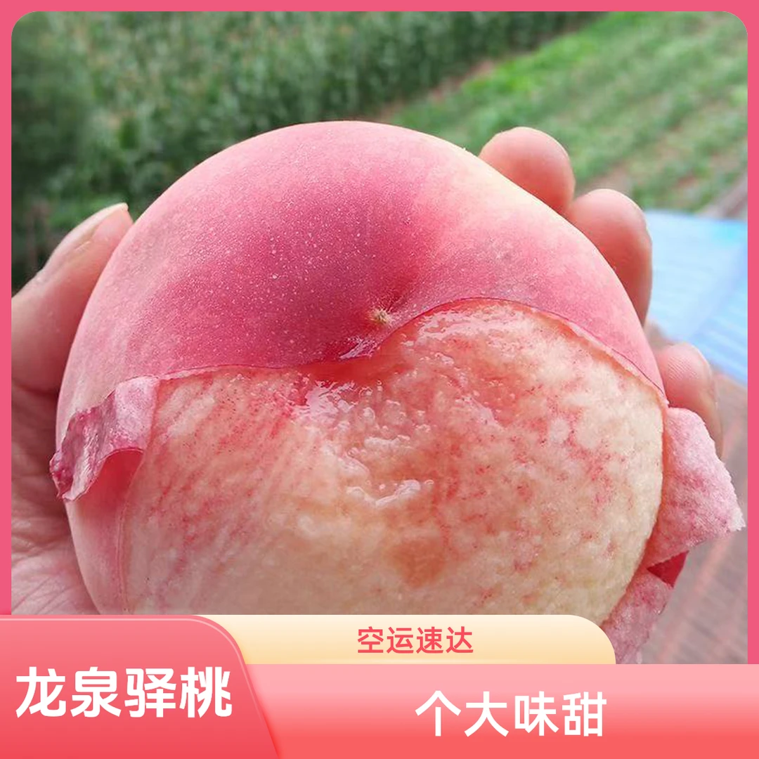 【顺丰空运】龙泉驿水蜜桃皮薄肉厚香甜多汁暴甜