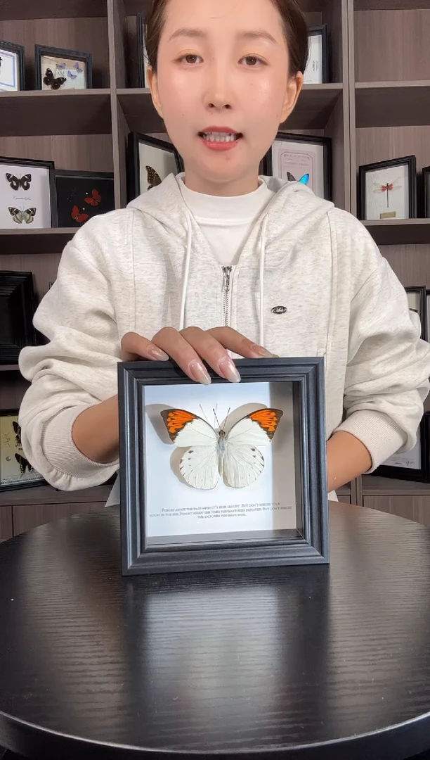 实木竖款鹤顶粉蝶（蝴蝶装饰画6寸框）