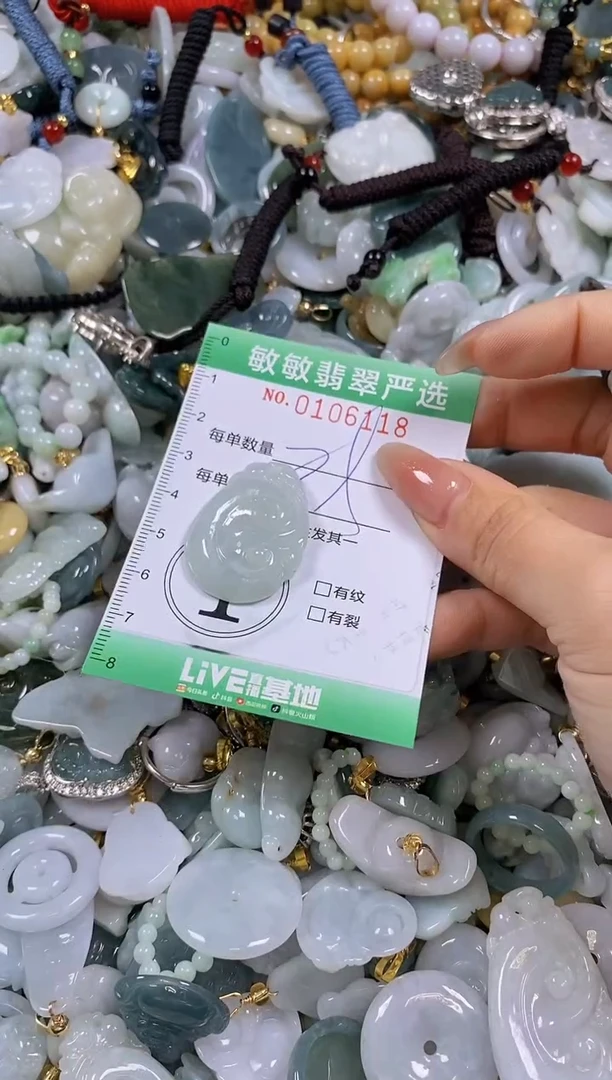 【闪购商品】翡翠颈饰未镶嵌闪购0106118